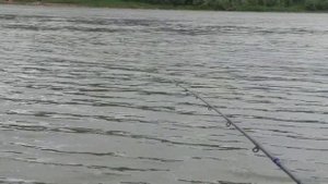 Фидерное удилище Cadence CR10 13ft Distance Feeder #3 (Омская рыбалка)