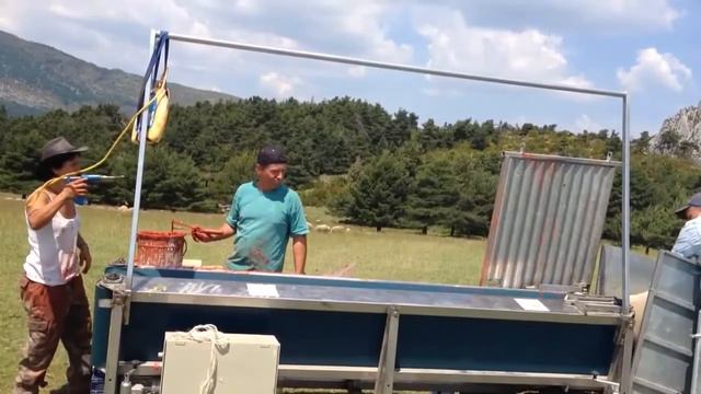 Автоматический конвейер для обработки овец и коз от Компании Javier Camara (Испания) смотреть онлайн