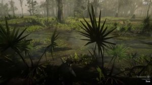 Red Dead Redemption 2 легендарный крокодил