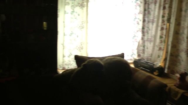 Мы продаём, а вы можете купить дачу в Киржачском районе у д. Дубки. смотреть онлайн