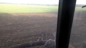 Посев подсолнечника МТЗ -82.1  и сеялкой СУПН-8