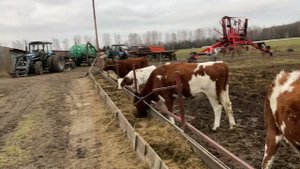 Что мы делаем по ферме осенью 2021 г.