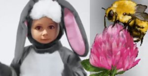 Песенка зайчика Шнуфеля .