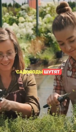 МИЛЛИОНЕРЫ стригут газон #анекдот #сад #дача