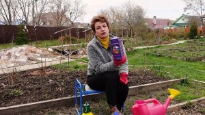 СОЧНАЯ И ЗДОРОВАЯ МАЛИНА | Чем подкормить малину весной?