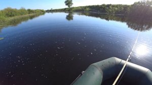 /Летняя рыбалка на навозных червей/ Красота природы ЗКО/