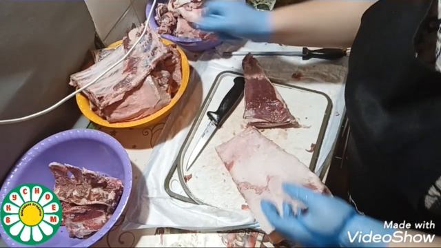 #мясодичи Что можно приготовить из мяса дикого кабана?
