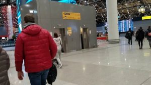 аэропорт Шереметьево ищем терминал В