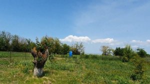Ейск. Едем в гости к подписчице  Надежде на хутор  - Зелёная роща!    Часть-1