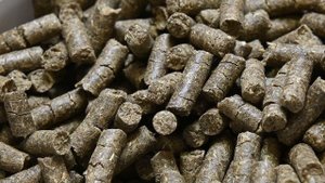 Не покупайте такие корма для рыб. Корма на развес