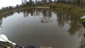 Рыбалка на малых реках Черноземья. Джиг. Щука. Окунь.