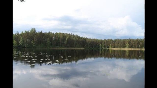 Участок 1 Га рядом с озером смотреть онлайн