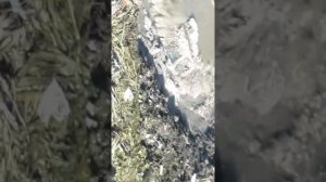 Ик-5 г.Апшеронск засоряет окружающую среду!