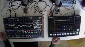 Arturia Minibrute 2S and Roland TR-8S: TechnoBrute