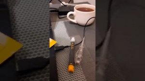 Бесконтактный индикатор напрядения Fluke LVD2 volt light