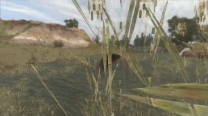 Тайник Кости на Агропроме в ОП 2.1