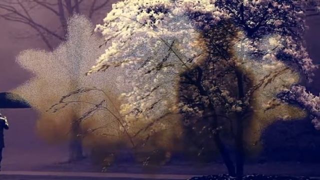 Иван Бунин "Зачем и о чём говорить" смотреть онлайн