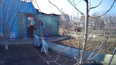 чем опрыскивать сад весной. Обработка сада от болезней и вредителей. Весенняя обработка сада.