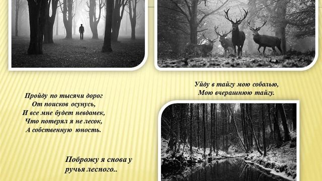 "Чистое Слово": Тема дороги в поэзии Игоря Киселева смотреть онлайн