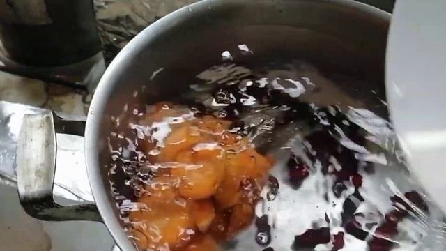 Компот из замороженных фруктов  видео