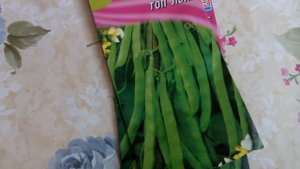 ФАСОЛЬ ВЫСОКОРОСЛАЯ//Ищу лучший сорт. Часть1.