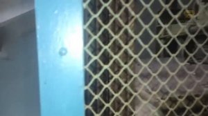 Заброшенный лифт с деревянными направляющими