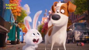 Watch The Secret Life Of Pets For English Learners 49