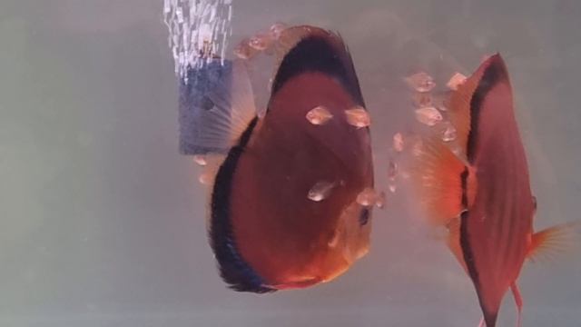 Никому ничего не доказывай, просто делай... смотреть онлайн