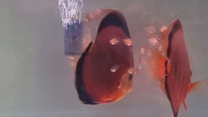 Никому ничего не доказывай, просто делай...