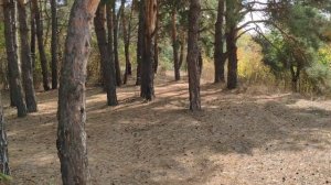 Река Ворона, село Перевоз