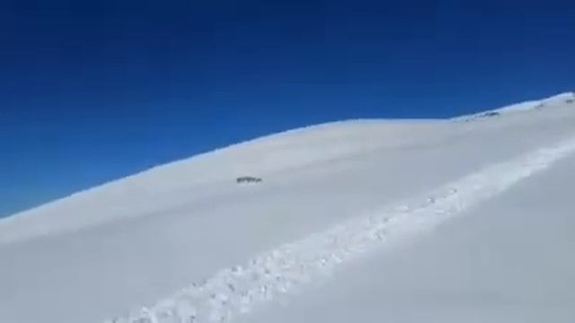 Снежный барс. 2016г смотреть онлайн