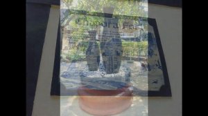 India Goa 20130412 На территории отеля Santana Beach Resort, Кандолим, Гоа, Индия