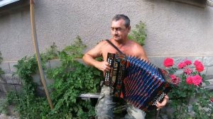 Едут новоселы на гармошке | Виктор Буртовой