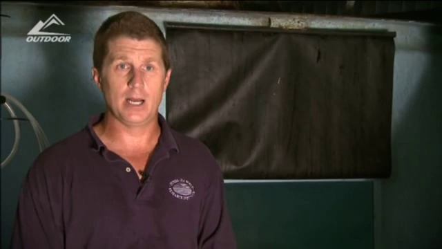 Подводная охота на белого морского окуня смотреть онлайн