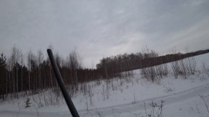 Загонная охота-Вот это вышли, чуть не затоптали!!!