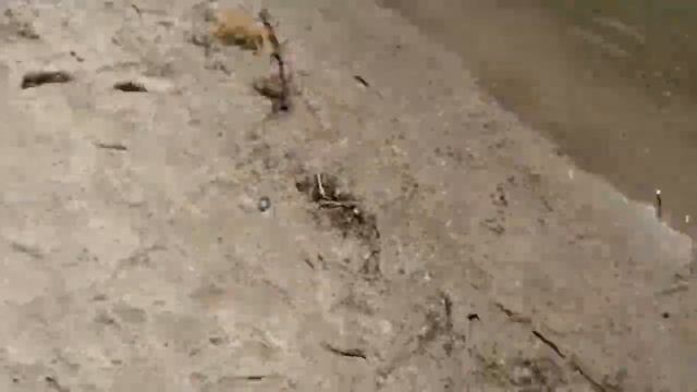 No Effects смотреть онлайн