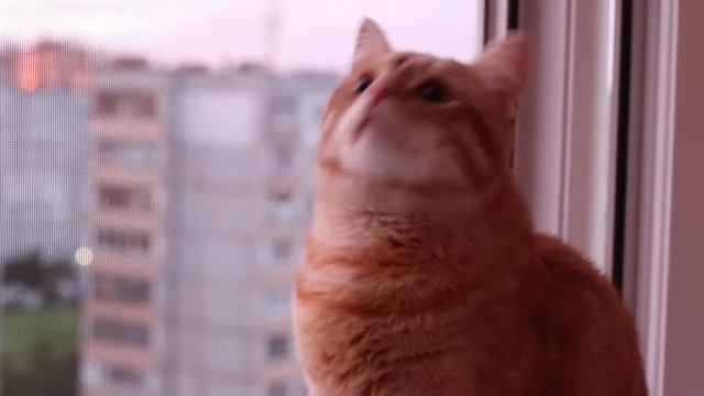 #Рассвет. #DayBreak. (#FirstShoot on Canon EOS 80D) смотреть онлайн