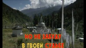 красные карманы круг