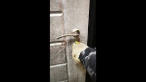 Двери входные металлические работа нижнего замка