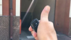 Пульт FAAC 868SLH LR от распашных ворот Бровары заказать