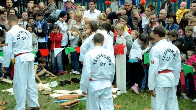 1 июня 2014 г. День защиты детей. Тхэквондо. 2 часть смотреть онлайн