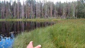 СПИННИНГ/ОЗЕРО/ДВОЕ НА РЕКЕ/ЧАСТЬ ВТОРАЯ.