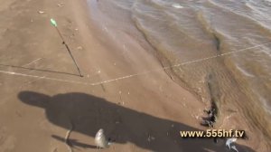 Лов чехони на кораблик.