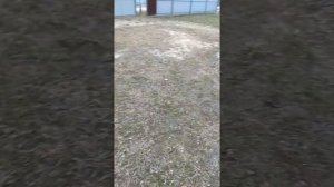 Как убрать воду с участка? Простая дренажная система!