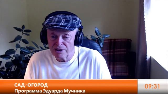 Дача в Америке. Копать или не копать? Разбираем ошибки огородников. Обрезка морковной ботвы.