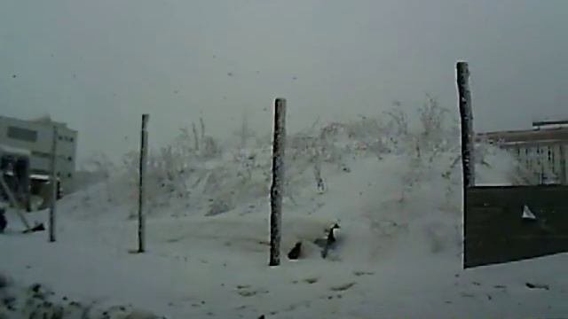 Самоуверенность в гололёд