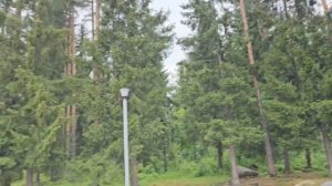 #чайф-прогулки по Костомукше #УЛЬТРАБЕСЕДА #РОССИЯ #КОСТОМУКША