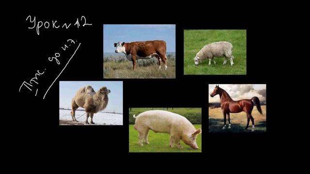 Бронзовый век: хозяйство андроновцев (Урок 12) смотреть онлайн