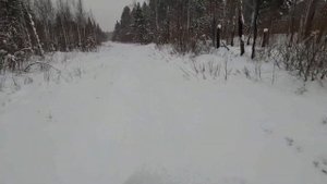 Охота на соболя, январь 2022