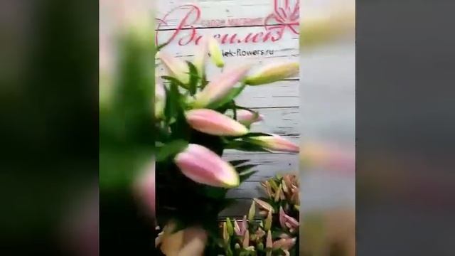 Лилии выращенные в Алексине | vasilek-flowers.ru смотреть онлайн